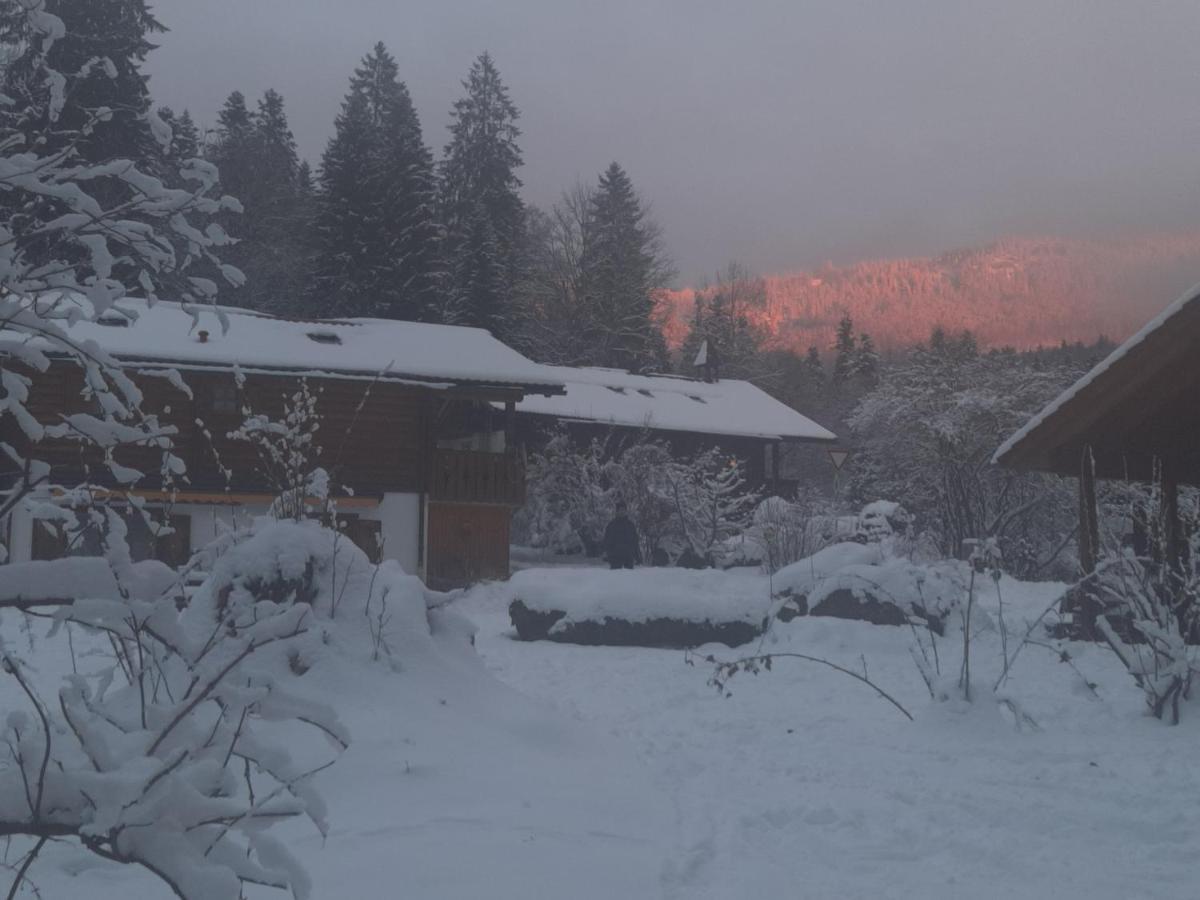 Huettenzauber Ferienwohnung Mitten Im Nationalpark Lindberg Buitenkant foto