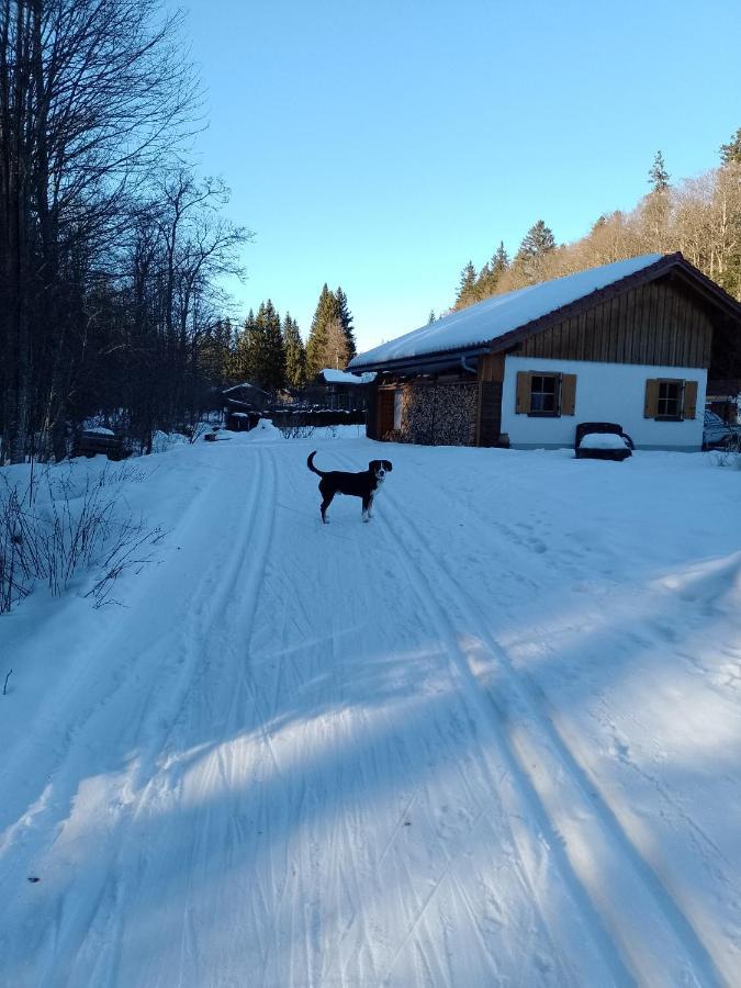 Huettenzauber Ferienwohnung Mitten Im Nationalpark Lindberg Buitenkant foto
