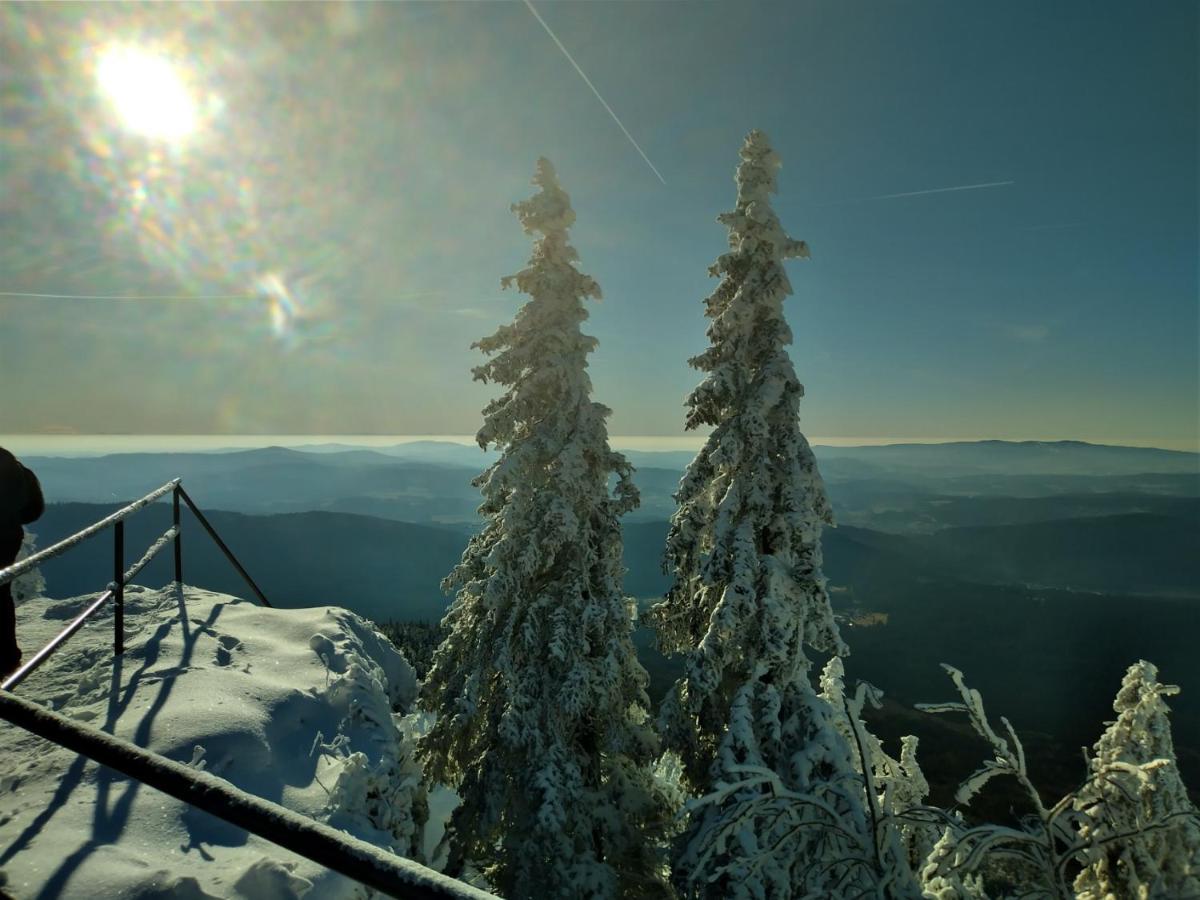Huettenzauber Ferienwohnung Mitten Im Nationalpark Lindberg Buitenkant foto