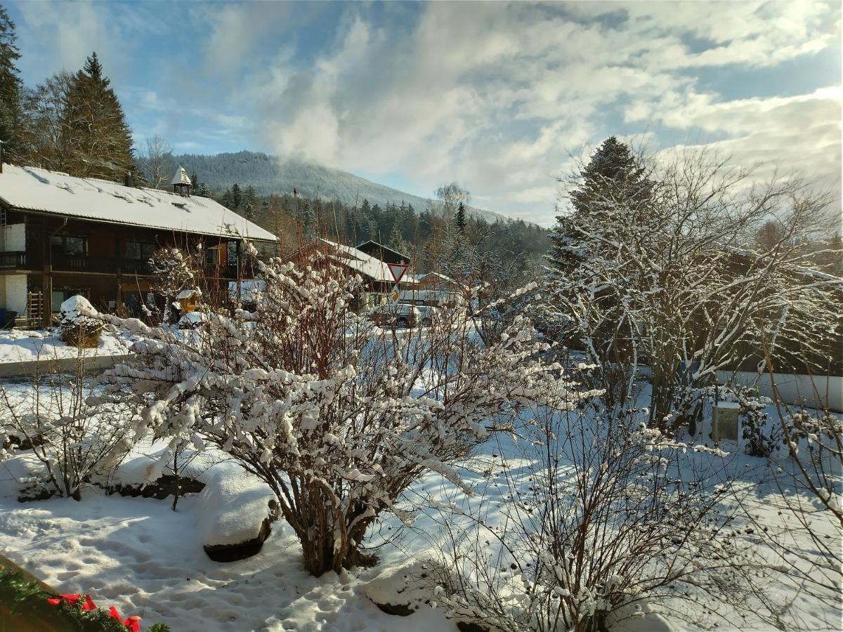 Huettenzauber Ferienwohnung Mitten Im Nationalpark Lindberg Buitenkant foto